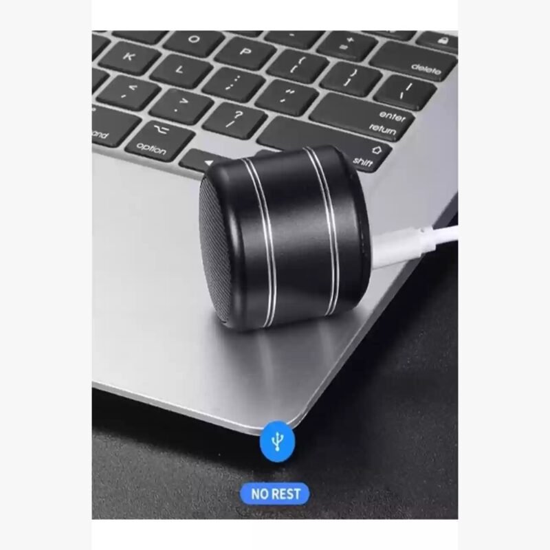 Parlante Mini Speaker